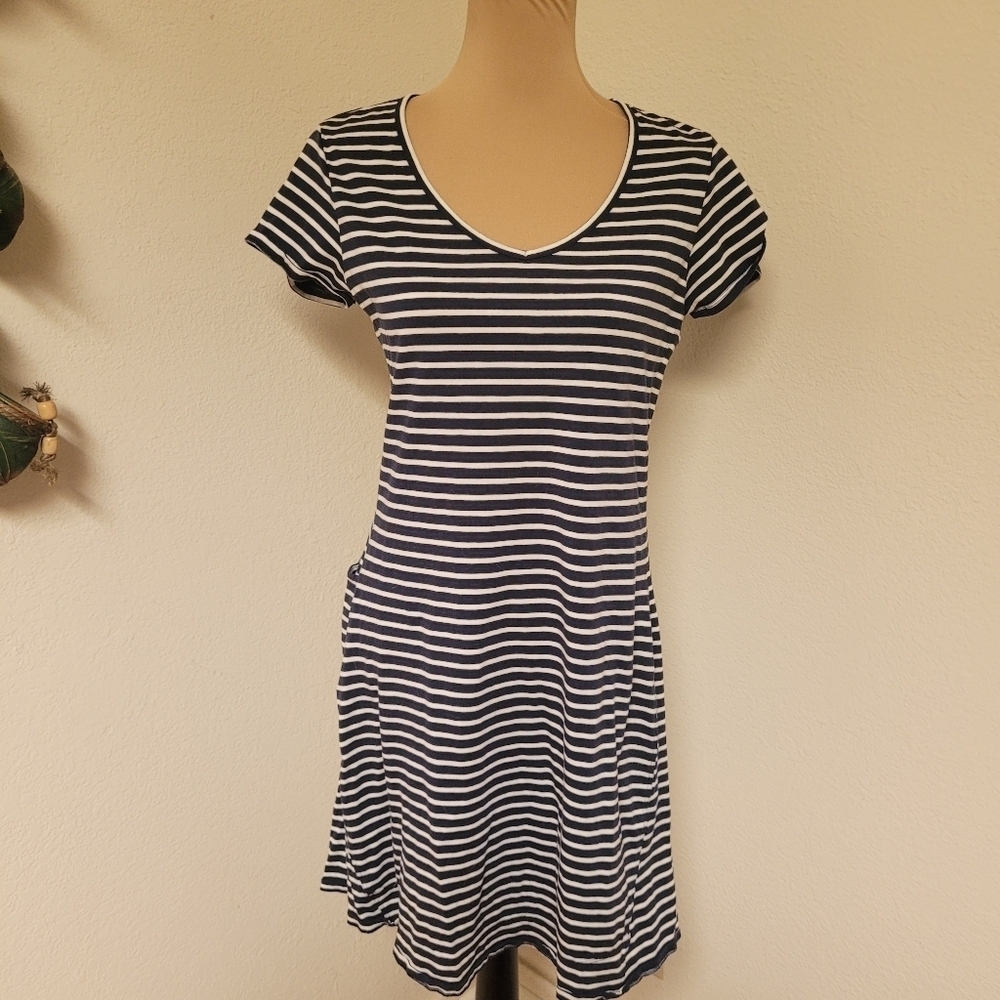 Toad & Co Samba Muse Blue and White Striped Dress